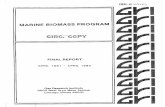 MAR1 NE - ARPA-E Final Report... · MAR1 NE 81 OMASS PROGRAM FINAL REPORT (April 1981 -April 1984) Prepared by A.N. Tonpkins and A.J. Bryce General El ectri c Company Advanced Ener