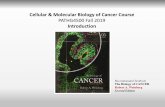 Cellular & Molecular Biology of Cancer Course...Cellular & Molecular Biology of Cancer Course PATHG4500 Fall 2019 Introduction Recommended Textbook The Biology of CANCER Robert A.
