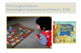 PGCE English lecture: Phonological Awareness and Phonics TS3d€¦ · placement (for EY & Primary cohorts) ... The Simple View of Reading ... Syllable awareness: the first below-word