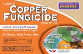 Ready to Use Controls listed plant diseasesknown technically as a true soap. The copper soap fungicide controls many common diseases using low concentrations of copper. The net result
