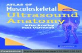 Atlas of musculoskeletal ultrasound anatomy · The images in the current text were achieved using an ATL HDI 5000 SonoCT ultrasound system (Advanced Technology Laboratories, Bothwell,