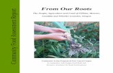 From Our Roots ment Report - Oregon Food Bank · From Our Roots: The People, Agriculture & Food of Gilliam, Morrow, Umatilla &Wheeler Counties, Oregon INTRODUCTION THE FOOD SYSTEM.