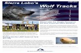 Sierra Lobo’s JUNE 2010 Wolf Tracks · Sierra Lobo’s Wolf Tracks JUNE 2010 Rolling Out the LAST External Tank (ET-138) On Thursday, July 8, 400 to 500 people attended the last