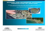 MANUAL FOR INTENSIVE HATCHERY · MANUAL FOR INTENSIVE HATCHERY . PRODUCTION OF ABALONE . Theory and practice for year-round, high density ... CHAPTER 1 ABALONE BIOLOGY ... Shepherd
