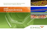 EMSL Pore Scale Modeling Challenge/Workshop · EMSL Pore Scale Modeling Challenge/Workshop 1 1.0 Background 1.1 Pore-scale Flow and Transport In the past decade, the development of