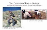 The Process of Paleontology - d32ogoqmya1dw8.cloudfront.net · The Process of Paleontology Kids want to be paleontologists—but what does that mean for a career? Discovery: finding