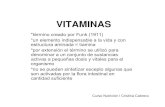 VITAMINAS - fagro.edu.uynutrical/Documentos/VITAMINAS.pdf · Principales funciones de las vitaminas •*A- Mecanismo de la visión.Integridad de las células epiteliales •*D-Regulación