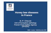Honey bee diseases in France - European Medicines Agency · Notifiable diseases • American foulbrood • Nosemosis (Nosema apis) EMEA – London – 14&15 December 2009 1. Honey