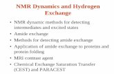 Hydrogen Exchange method - University of Georgiatesla.ccrc.uga.edu/courses/BioNMR2012/lectures/... · Competition Hydrogen Exchange •The refolding experiment involved dilution of