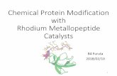 hemical Protein Modification with Rhodium …kanai/seminar/pdf/Lit_M_Furuta_B4.pdfContents 1.Introduction 2.Advances in chemical protein modification 2-1. Ionic reaction 2-2. Radical
