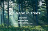 Nano in Trees - Auburn University · 2020-04-15 · The Nano in Trees Shannon Bales Rachel Bostic Dr. Virginia Davis Auburn University ... cellulose) are then boiled until it is a
