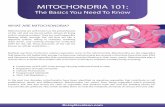 Mito Opt In Gift 2€¦ · MITOCHONDRIA 101: The Basics You Need To Know RESTORE HEALTHY MITOCHONDRIAL FUNCTION WITH A NUTRIENT-RICH DIET A diet full of re˚ned sugars, processed