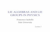 LIE ALGEBRAS AND LIE GROUPS IN PHYSICS · LIE ALGEBRAS AND LIE GROUPS IN PHYSICS Francesco Iachello Yale University. Lecture 2. THE ALGEBRAIC QUARK MODEL. The constituents of hadrons