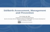 Stillbirth Assessment, Management and Prevention€¦ · Stillbirth Assessment, Management and Prevention. Uma Reddy, MD, MPH. Pregnancy and Perinatology Branch. Eunice Kennedy Shriver