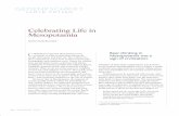Celebrating Life in Mesopotamia - Urkeshurkesh.org/attach/Kelly-Buccellati_2018_Celebrating_Life.pdf · Celebrations in ancient Mesopotamia were occasions to afﬁrm connections among
