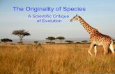 The Originality of Species - Special Creationdaylightorigins.com/.../uploads/2014/04/Originality_of_Species.pdf · Proofs for Originality of Species Thermodynamics Logic Anatomy.
