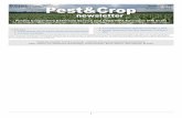 Issue: 2018.26 ...€¦ · Circular to oval lesions that are red-brown to black Reddish-brown lesions -often on ends of seed. 3. Yes Yes Corn, small grains Yes Seed treatment and