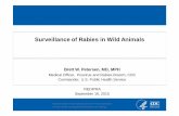 Surveillance of Rabies in Wild Animals...Surveillance of Rabies in Wild Animals National Center for Emerging and Zoonotic Infectious Diseases Division of High-Consequence Pathogens