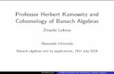 Herbert Kamowitz and Cohomology of Banach algebrasbanach2019/pdf/slidesBA2019_Kamowitz.pdf · Zinaida Lykova Herbert Kamowitz and Cohomology of Banach algebras. 7/14 Main results