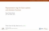 Representation rings for fusion systems and dimension ...mat.uab.cat/~reeh/slides/2018-06-22 Isle of Skye.pdf · 6/22/2018  · Representation rings for fusion systems and dimension