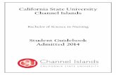 California State University Channel Islandsnursing.csuci.edu/currentstudents/2014-bsn-student... · 2020-02-11 · California State University Channel Islands . Bachelor of Science