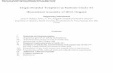 Hierarchical Assembly of DNA Origami Single-Stranded Templates … · 2018-06-29 · Single-Stranded Templates as Railroad Tracks for Hierarchical Assembly of DNA Origami Supporting