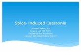 Spice- Induced Catatoniabehavioralhealth2000.com/wp-content/uploads/2016/...Bush G, Fink M, Petrides G, Dowling F, Francis A. Catatonia 1. ... , Francis A. Catatonia 1. Rating scale