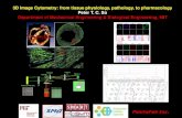 3D Image Cytometry: from tissue physiology, pathology, to ... · Department of Mechanical Engineering & Biological Engineering, MIT FemtoFab Inc. Outline • Cytometry ... DNA repair