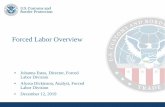 Forced Labor Overview - cbp.gov Labor...to prevent products of forced labor” from entering the United States. • DHS is “expanding existing safeguards and practices that prevent