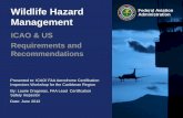 Wildlife Hazard Administration Federal Aviation Management · Inspectors Workshop for the Caribbean Region By: Laurie Dragonas, FAA Lead Certification Safety Inspector Date: June