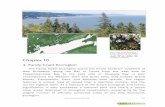 Chapter 10 · 184 Chapter 10: Fundy Coast Ecoregion summer together have limited the frequency of regional wildfires. Fire-dependent species such as jack pine and white pine occur