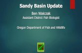 Ben Walczak - Sandy River Watershed Council...2019/03/18  · Lower Columbia ESU Clackamas Sandy 3,897 0 5,000 10,000 15,000 20,000 25,000 e Spawning Year Wild Adult Coho Spawner Abundance