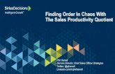 Finding Order In Chaos With The Sales Productivity Quotient The Sales Productivity Quotient: The Structure