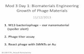 Mod 3 Day 1: Biomaterials Engineering - Amazon S3€¦ · Mod 3 Day 1: Biomaterials Engineering Growth of Phage Materials 11/12/2013 1. M13 bacteriophage –our nanomaterial (spoiler