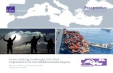 Expert insights on a timely policy issue · Expert insights on a timely policy issue Cross-Cutting Challenges and their . Implications for the Mediterranean Region. ... ment and military