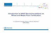 Introduction to WHO Recommendations on Wheat and Maize ...Wheat and Maize Flour Fortification Improve iron status among consumers if a sufficient level of bio-available forms of iron