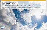 SAP HANA Cloud...SAP HANA Cloud Гибкость облака и ведения бизнеса в реальном времени Александр Таранов, Solution Sales