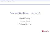 Advanced Cell Biology. Lecture 12 - ashipunov.infoashipunov.info/shipunov/school/biol_250/2011_2012/lec_250-12.pdf · Advanced Cell Biology. Lecture 12 DNA DNA replication Meselson-Stahl