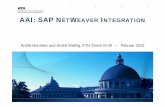 AAI: SAP NETWEAVER NTEGRATION · SAP WebServer Filter for SSO with Non-SAP Applications Old SAP standard – no further development (SAP Note 442401) SAP Ticket Library Needs to be