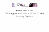 Fruits and Nuts - Gardening Solutions · Fruits and Nuts Training for 4-H Horticulture ID and Judging Contest . ... There are no seeds in edible types. •The fruit are arranged in