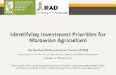 Identifying Investment Priorities for Malawian Agricultureagricultural GDP (i.e., 1% by 2020) •Small sectors need to grow fast, but this makes scenarios comparable •Captures spillovers