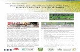 PROMOTING CLIMATE SMART AGRICULTURE FOR A RESILIENT … · PROMOTING CLIMATE SMART AGRICULTURE FOR A RESILIENT AND FOOD SECURE MYANMAR Summit Parkview Hotel, 350 Ahlone Road, Dagon