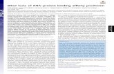 Blind tests of RNA–protein binding affinity prediction · 2019-04-08 · ergetics in RNA–protein binding affinity calculations is to use these secondary structure-based calculations.