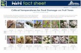 Critical Temperatures for Frost Damage on Fruit Trees · Critical Temperatures for Frost Damage on Fruit Trees Marion Murray, IPM Project Leader Published by Utah State University