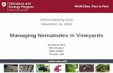 Managing Nematodes in Vineyards - WSGS Events · Present but Unlikely to be of Economic Importance Root-lesion (Pratylenchus spp.) Pin (Paratylenchus spp.) Stunt (Tylenchorhynchus