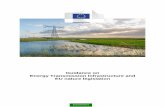 Guidance on Energy Transmission Infrastructure and EU ... · This document is designed principally for project developers, transmission system operators (TSOs) and authorities responsible