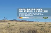 A Guide to Enhancing Grasslands for Birds and Other Wildlife - Arizona …aziba.org/wordpress/wp-content/uploads/2018/03/TAS_IBA... · 2018-03-29 · management of Arizona grasslands