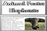 elephants - Instant Display Teaching ResourcesElephants are very intelligent animals, with the biggest brain of all land animals. They also have very good memories. The word for an