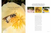 TO THE RESCUE · 2018-05-29 · Unlike honey and bumble bees that return to their hives at night, male native bees sleep on plant stems, under leaves or in flowers; females return