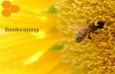 Beekeeping - Sustainable Agriculture · • First Lessons in Beekeeping- Keith Delaplane • Hooray for Beekeeping! – Bobbie Kalman • How to Keep Bees and Sell Honey – Kelleys